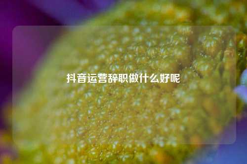 抖音运营辞职做什么好呢