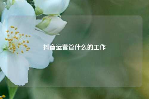 抖音运营管什么的工作