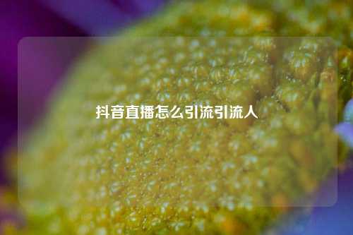 抖音直播怎么引流引流人