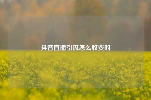 抖音直播引流怎么收费的