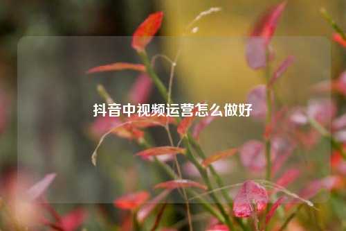 抖音中视频运营怎么做好