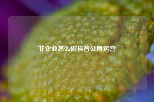 非企业怎么做抖音公司运营
