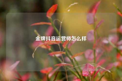 金牌抖音运营师怎么样