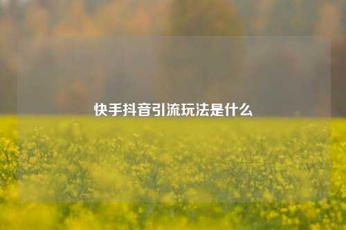 快手抖音引流玩法是什么