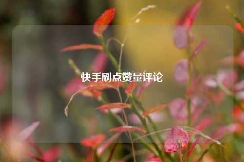 快手刷点赞量评论
