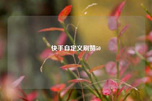 快手自定义刷赞50