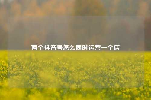 两个抖音号怎么同时运营一个店
