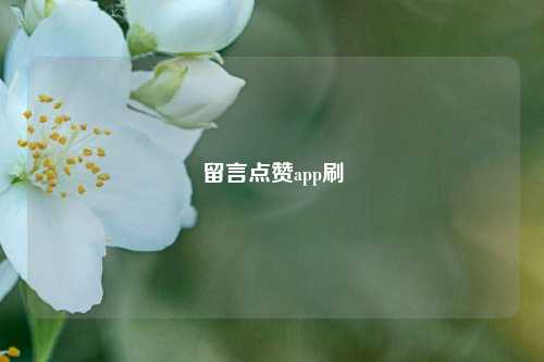 留言点赞app刷