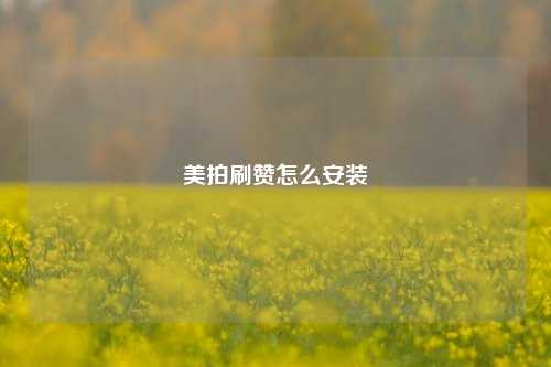 美拍刷赞怎么安装