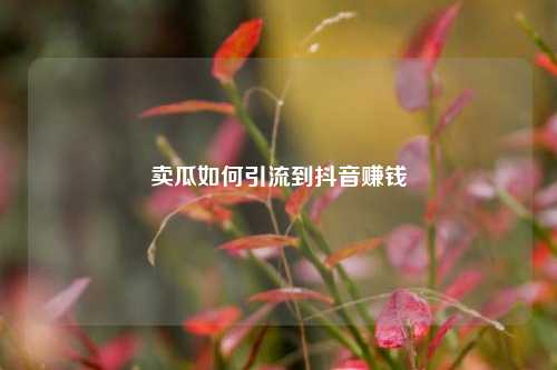 卖瓜如何引流到抖音赚钱