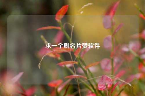 求一个刷名片赞软件