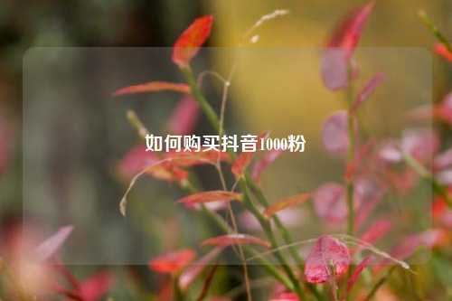 如何购买抖音1000粉