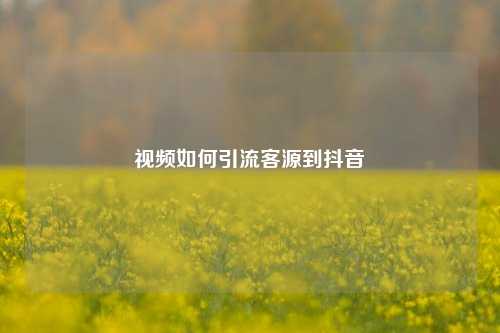 视频如何引流客源到抖音