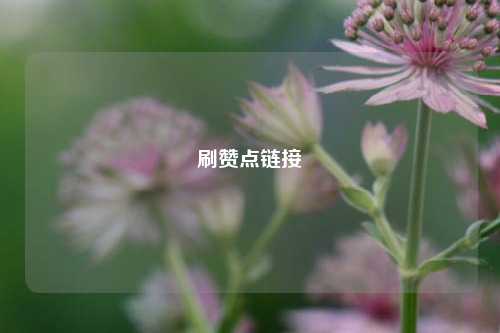 刷赞点链接