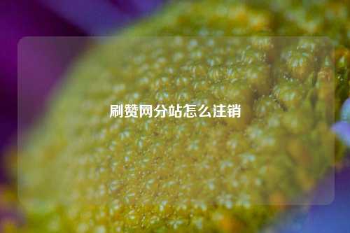 刷赞网分站怎么注销