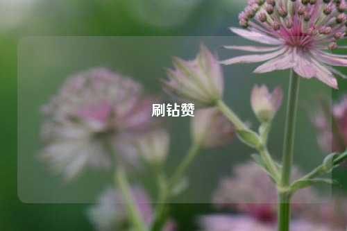 刷钻赞