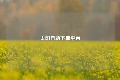 太阳自助下单平台