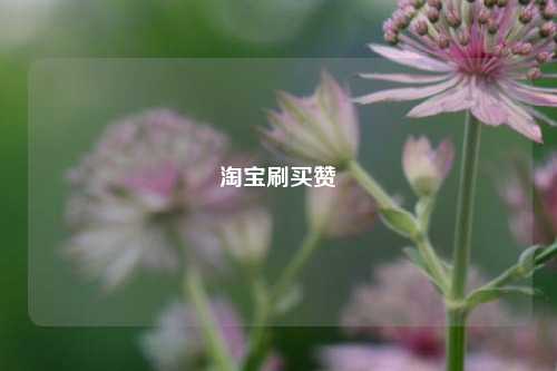 淘宝刷买赞
