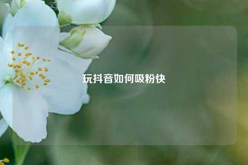 玩抖音如何吸粉快