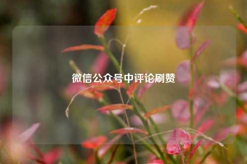 微信公众号中评论刷赞