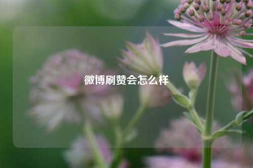 微博刷赞会怎么样