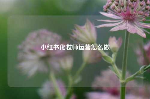小红书化妆师运营怎么做