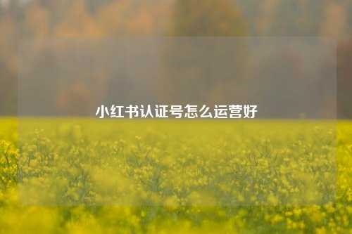 小红书认证号怎么运营好