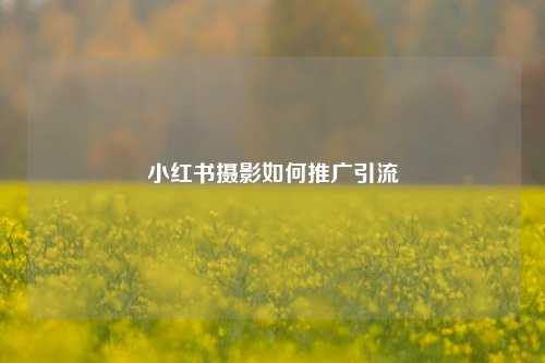 小红书摄影如何推广引流